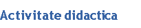 Activitate didactica