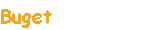 Buget