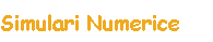 Simulari Numerice