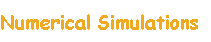 Numerical Simulations