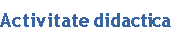 Activitate didactica