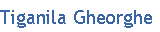 Tiganila Gheorghe